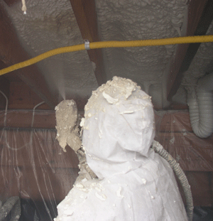 Olympia WI crawl space insulation
