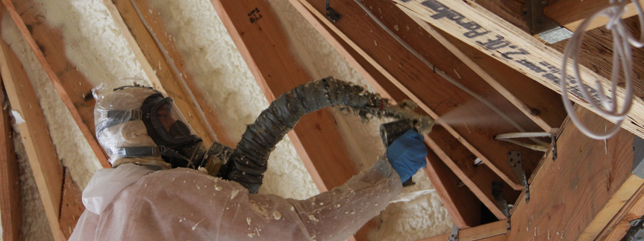 Olympia Wisconsin Attic Insulation Spray Foam